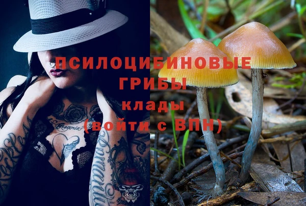 мяу мяу мука Нижневартовск