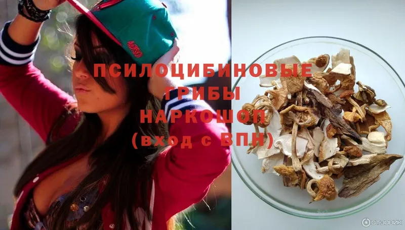 Галлюциногенные грибы Psilocybine cubensis  Алапаевск 