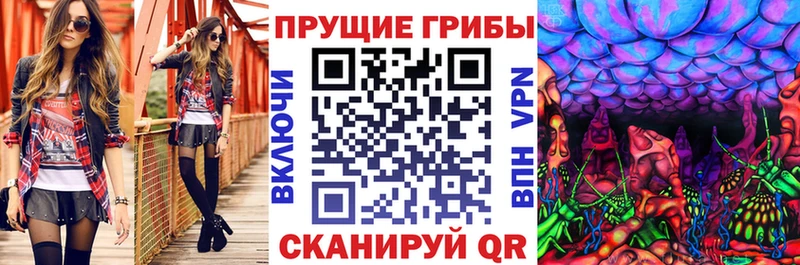 наркотики  Алапаевск  Псилоцибиновые грибы Cubensis 
